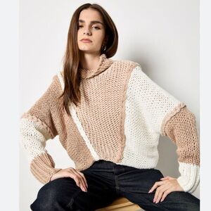 NWT Altrd State Chunky Oversized Sweater